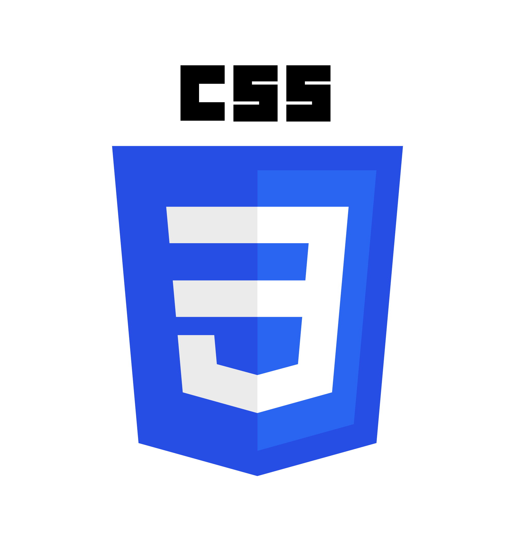 CSS